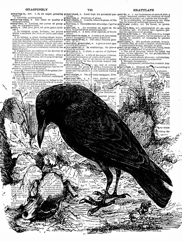 AW00041 - ArtnWordz - Raven