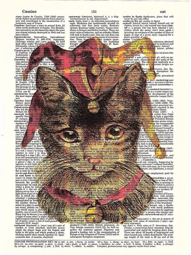 AW00058 - ArtnWordz - Jester Cat