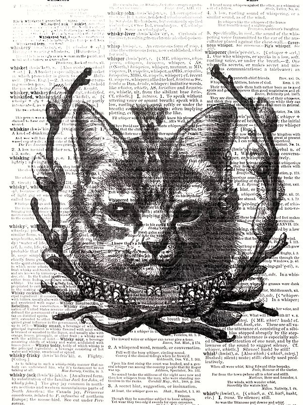 AW00060 - ArtnWordz - Punk Rock Cat