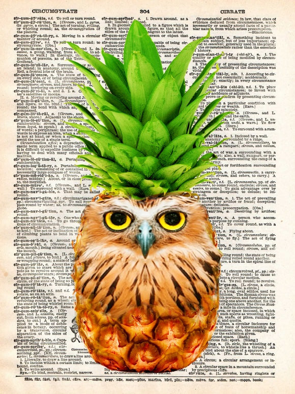 AW00472 - ArtnWordz - Pineowple