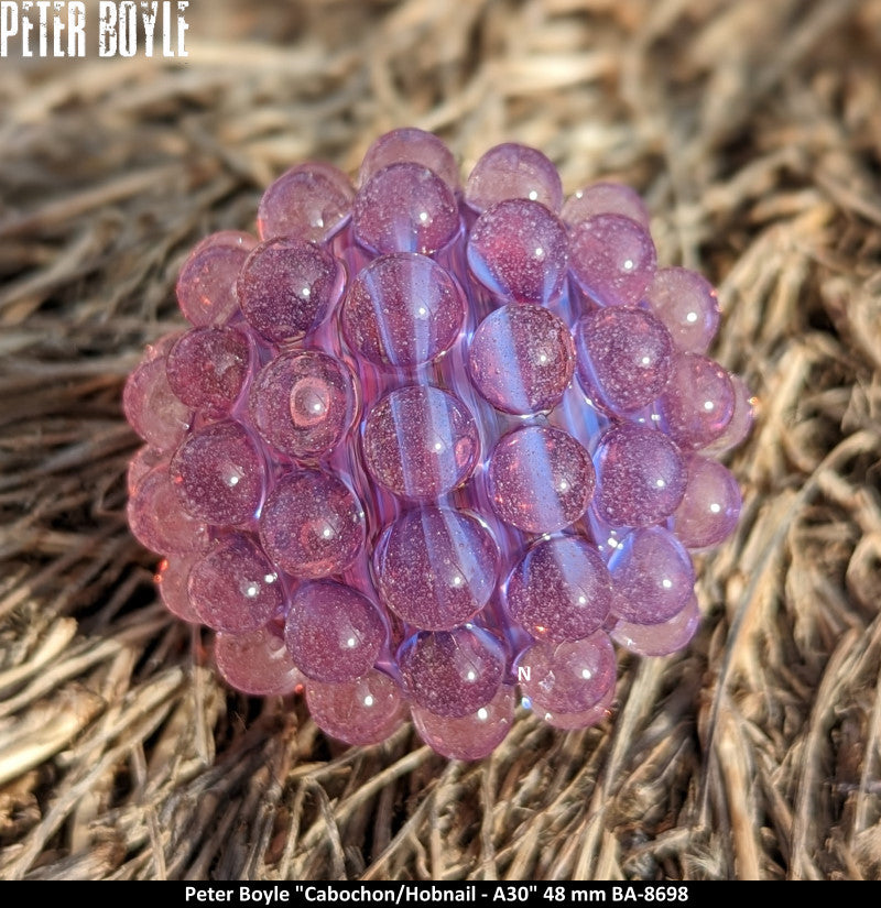 BA8698 - Peter Boyle 