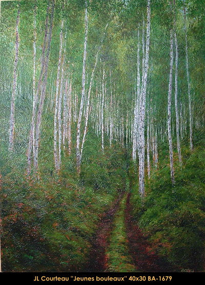 BA-1679 - Jeunes bouleaux - 40x30
