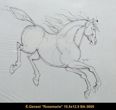 BA3605 - Elise Genest - Rose Mary - 10.5 x 12.5 - DESSIN