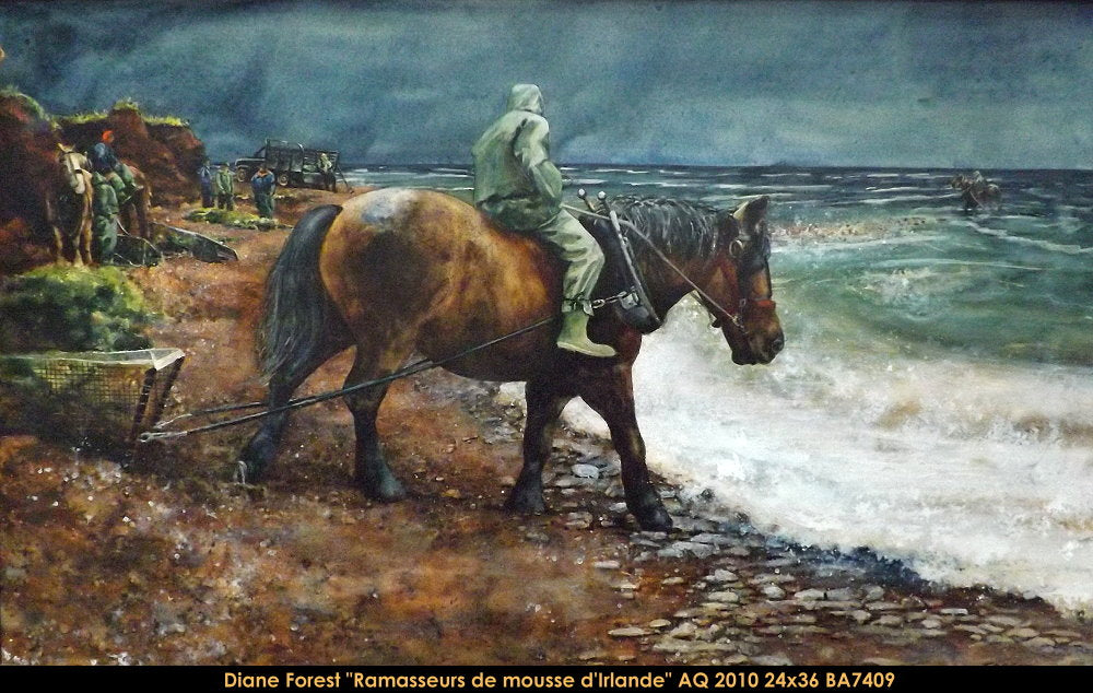 BA-7409 - Mousse d'Irlande - 24x36 - AQUARELLE