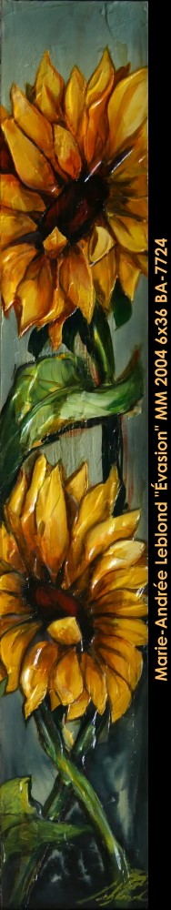 BA7724 - Évasion - M.A.LEBLOND - 36x6