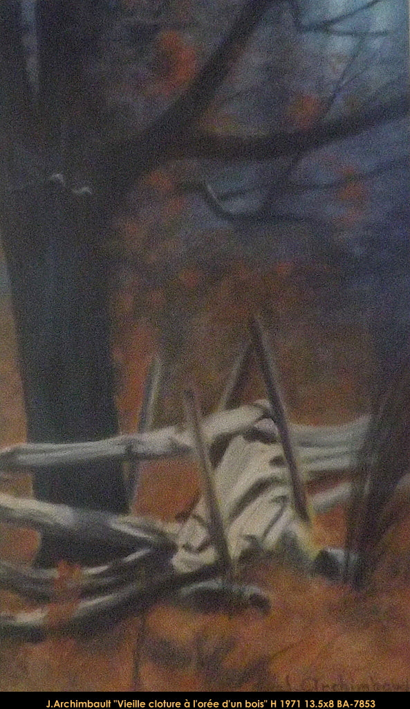 BA7853 - Vieille clôture à l'orée d'un bois - JEAN ARCHIMBAULT - 13.5x8