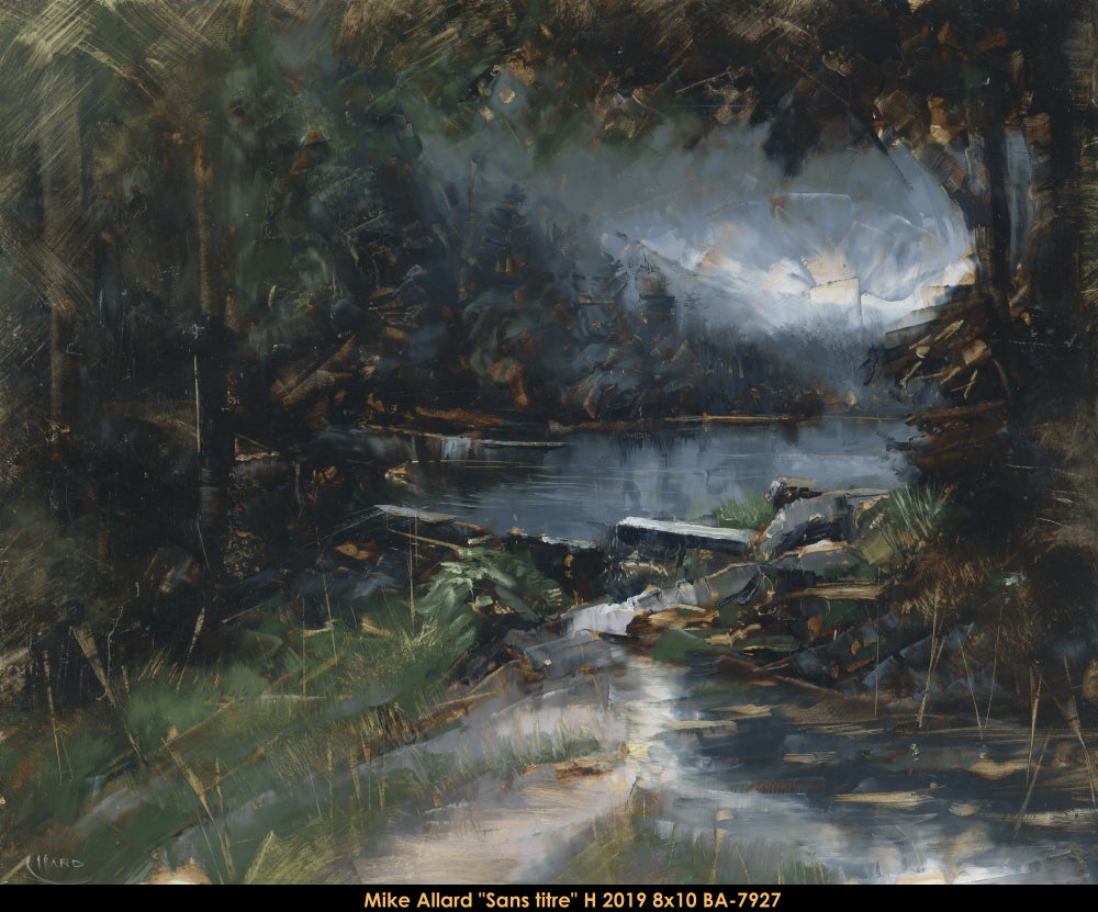 BA7927 - Mike Allard - Sans titre/untitled - 8x10