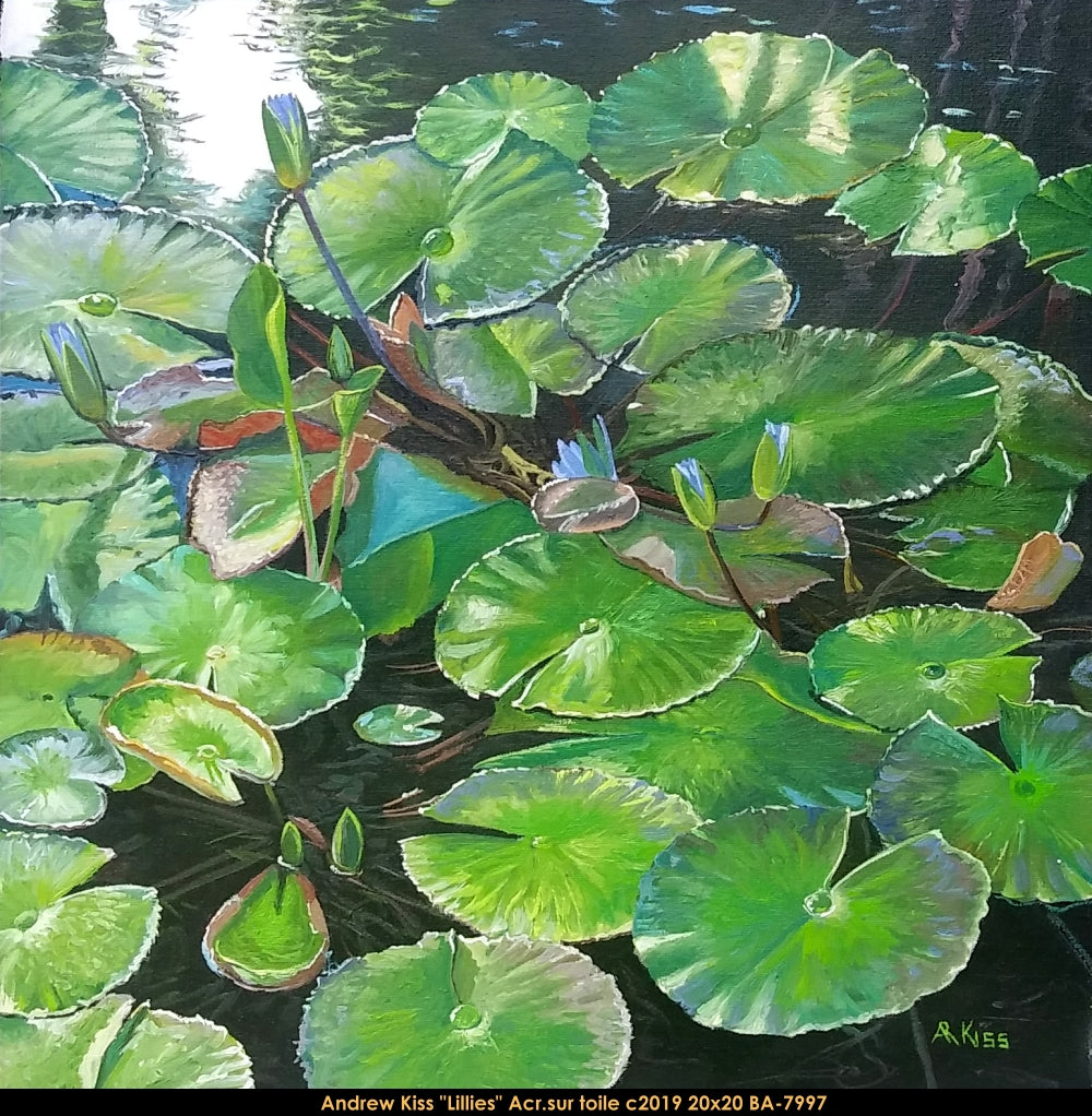 BA-7997 - Lillies - ANDREW KISS - 20x20