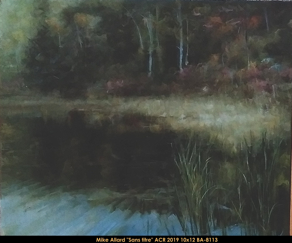 BA8113 - Mike Allard - sans titre (paysage) - 10X12