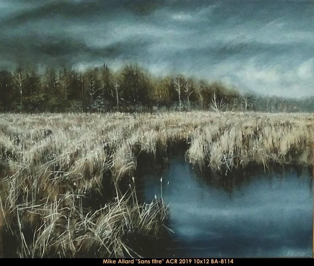 BA8114 - Mike Allard - sans titre (paysage) - 10x12