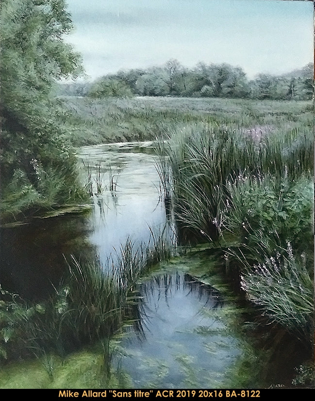 BA8122 - Mike Allard - sans titre (paysage) - 20x16
