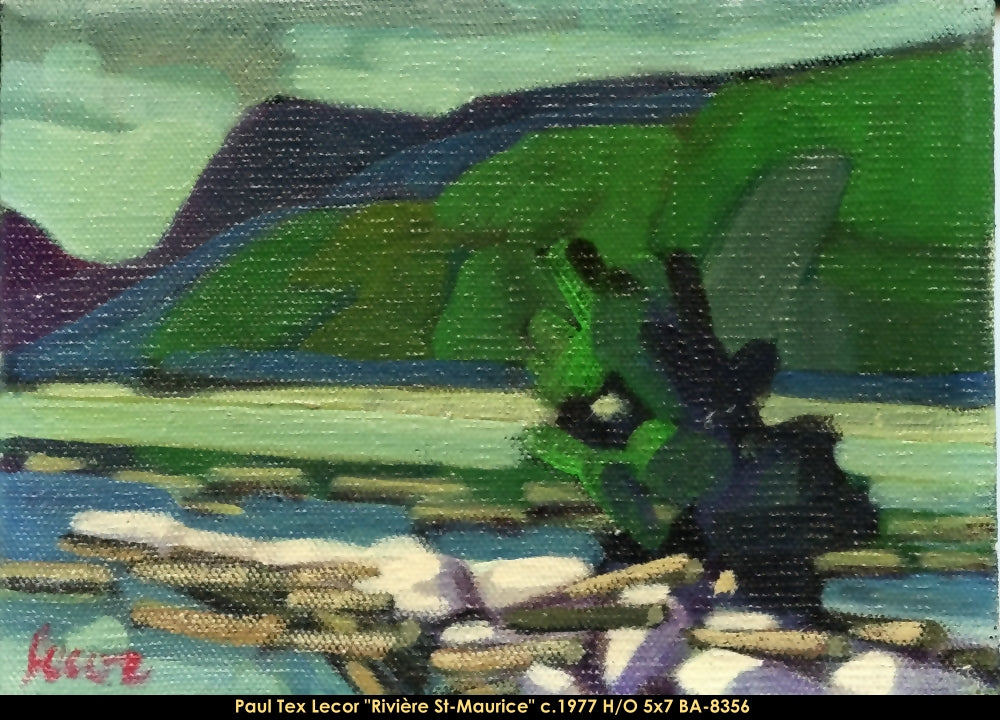 BA8356 - Pau TEX Lecor - Rivière St Maurice - 5x7