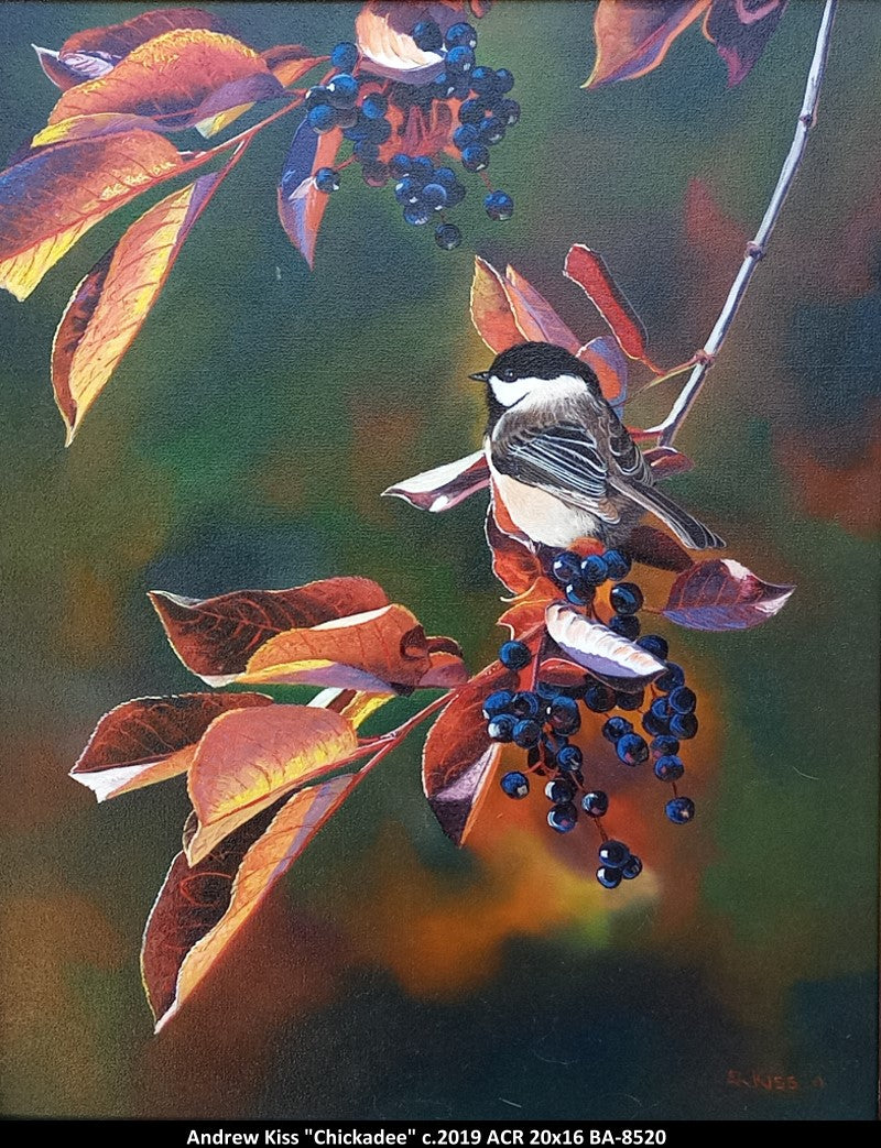 BA-8520 - Chickadee - ANDREW KISS - 20x16 -